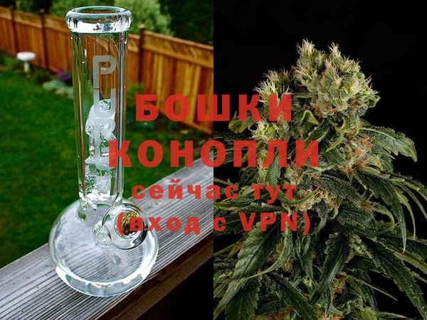 спиды Белокуриха