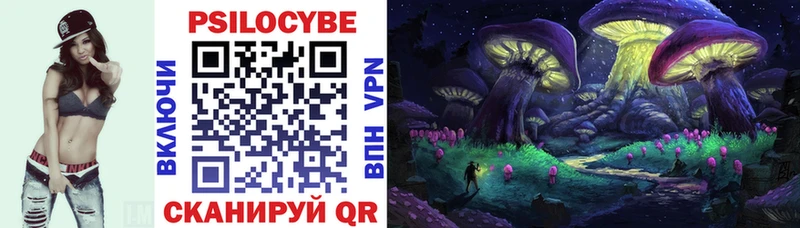 Галлюциногенные грибы Cubensis магазин Наволоки